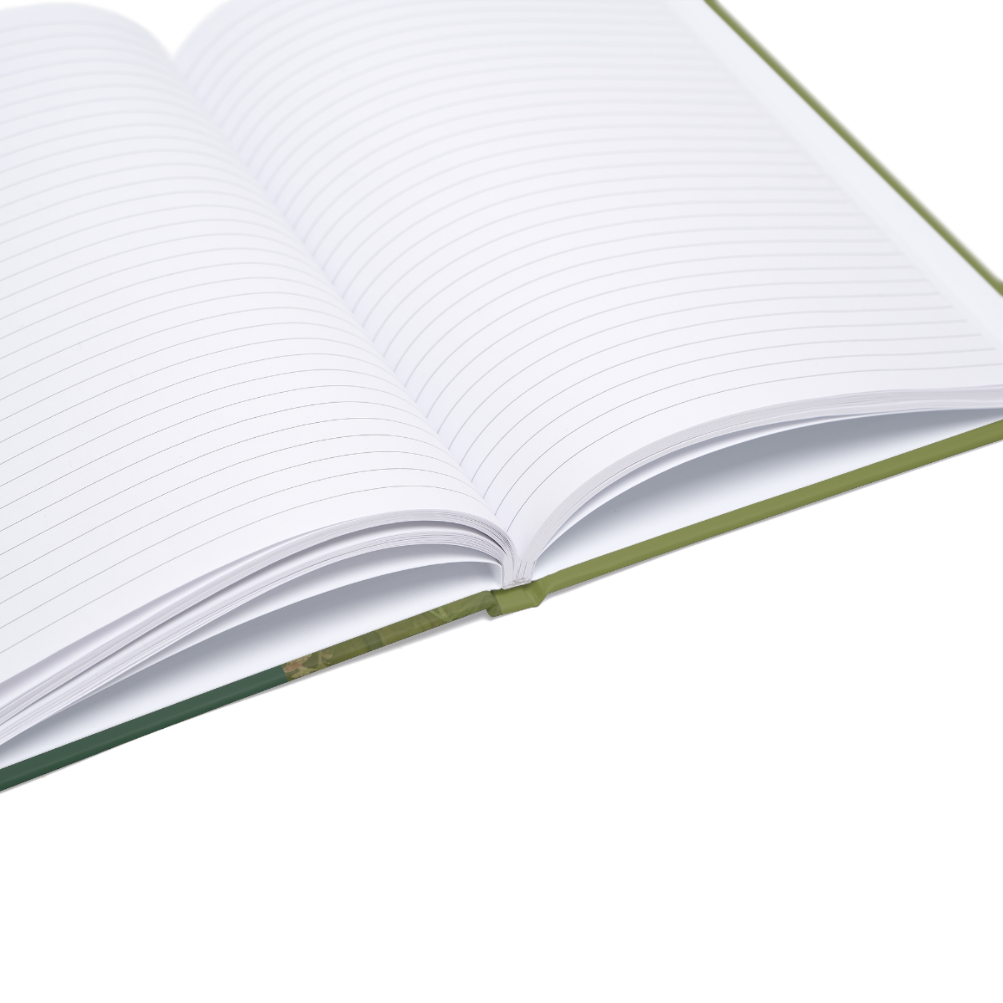 Unicorn Journal (EU) - Image 9