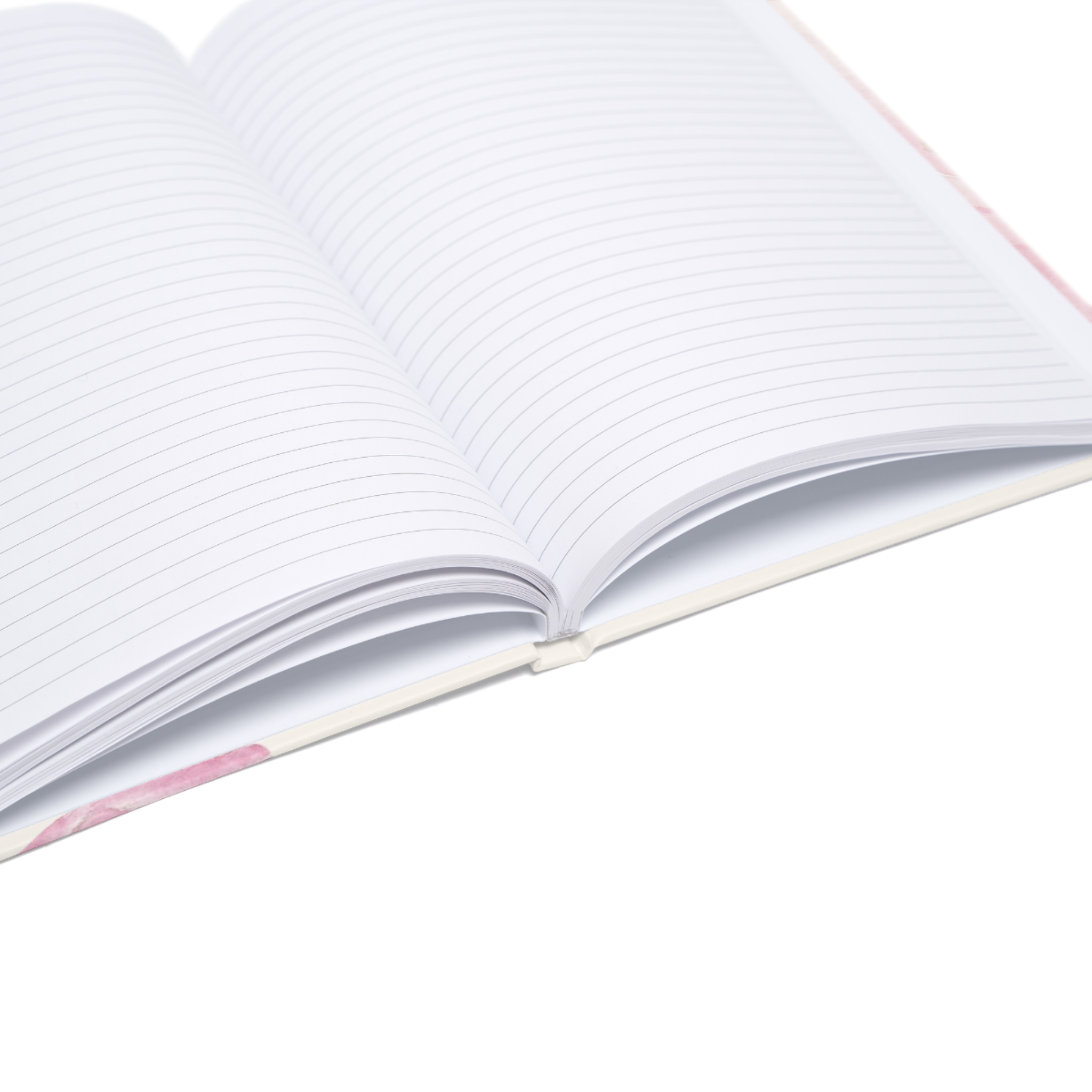 Bloom Journal (EU) - Image 9