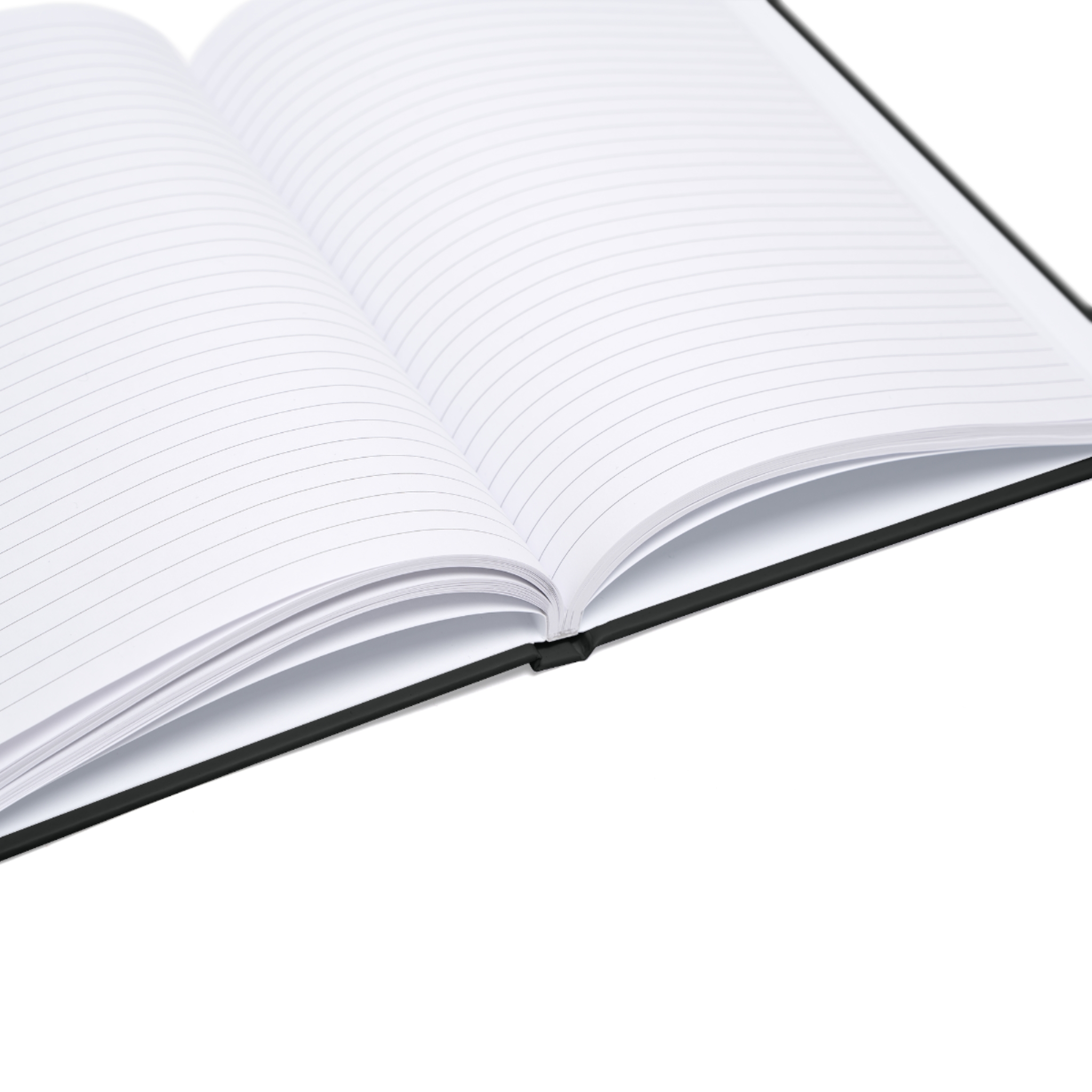 Elven Aelira Journal (EU) - Image 9