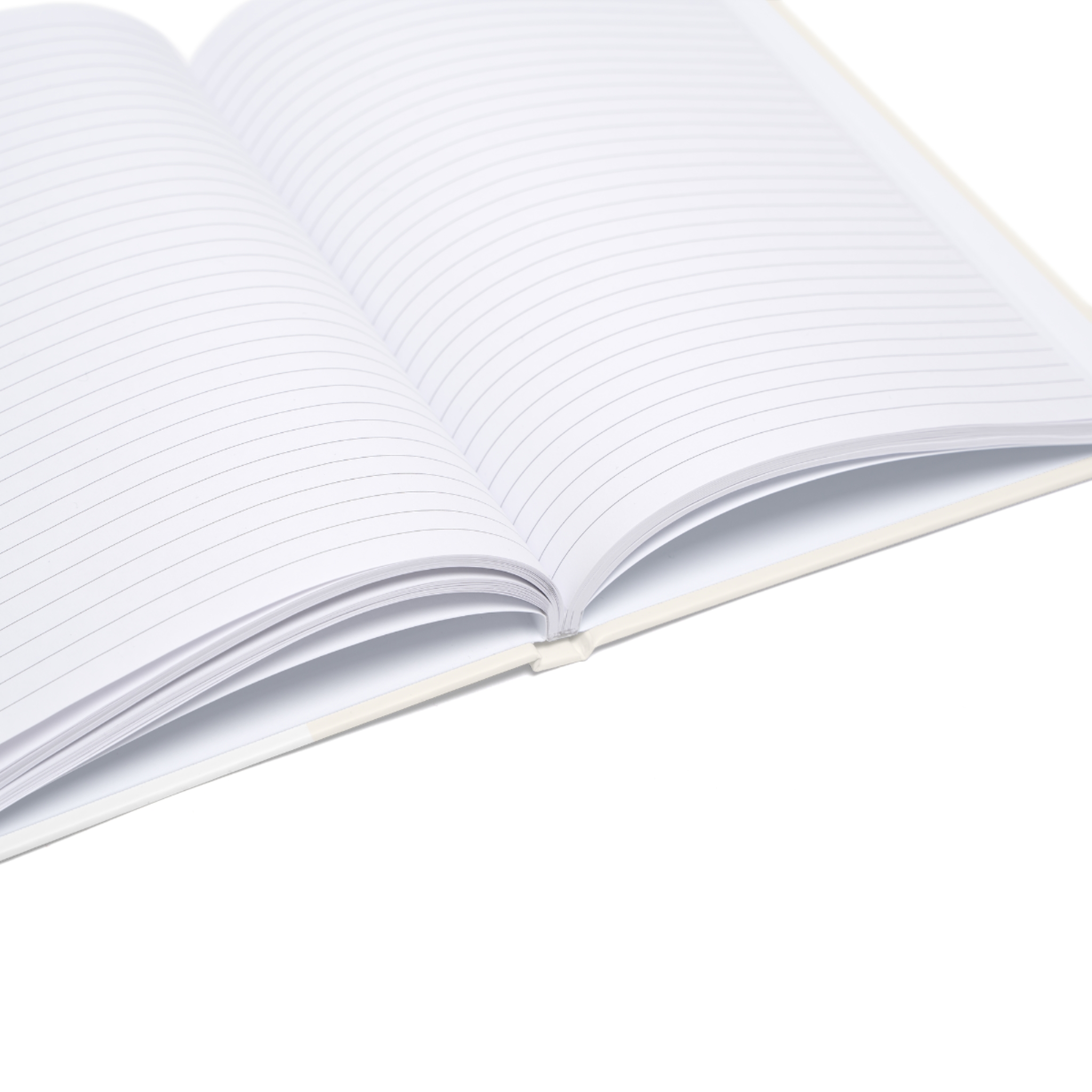 Fae Solange Journal (EU) - Image 9