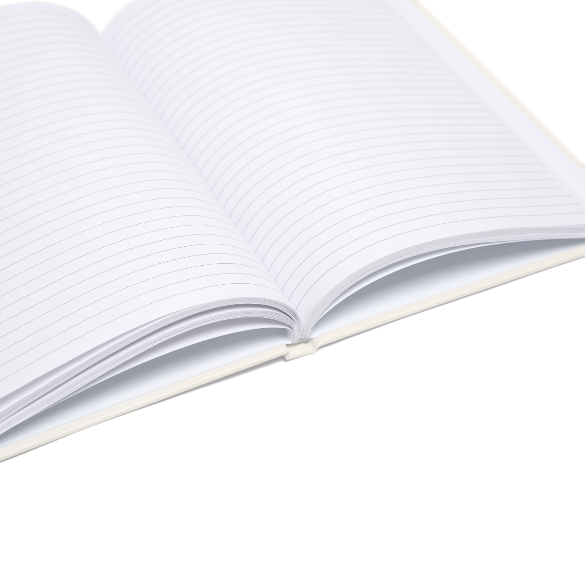 Fae Oshira Journal (EU) - Image 9