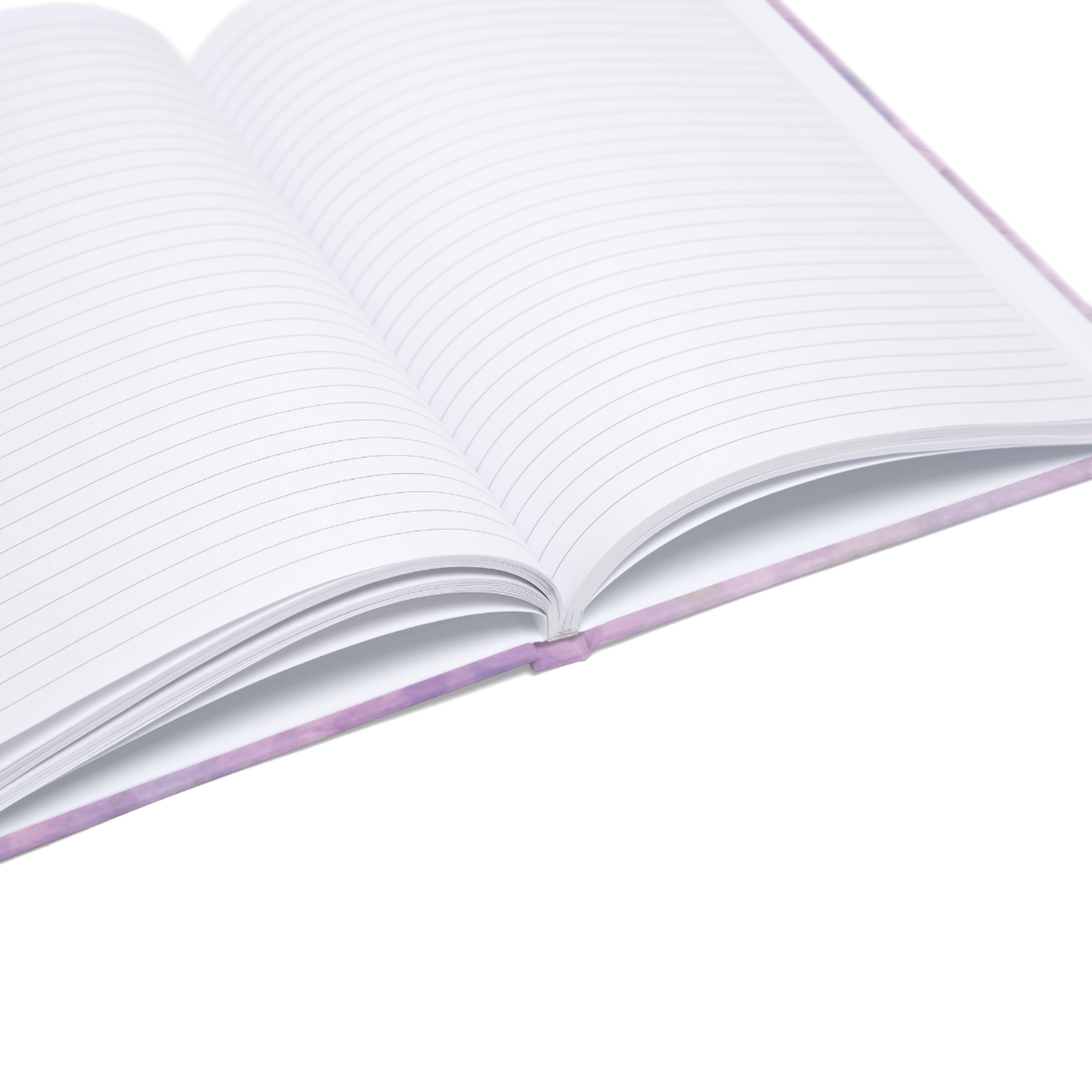 Flower Abundance Journal (EU) - Image 9